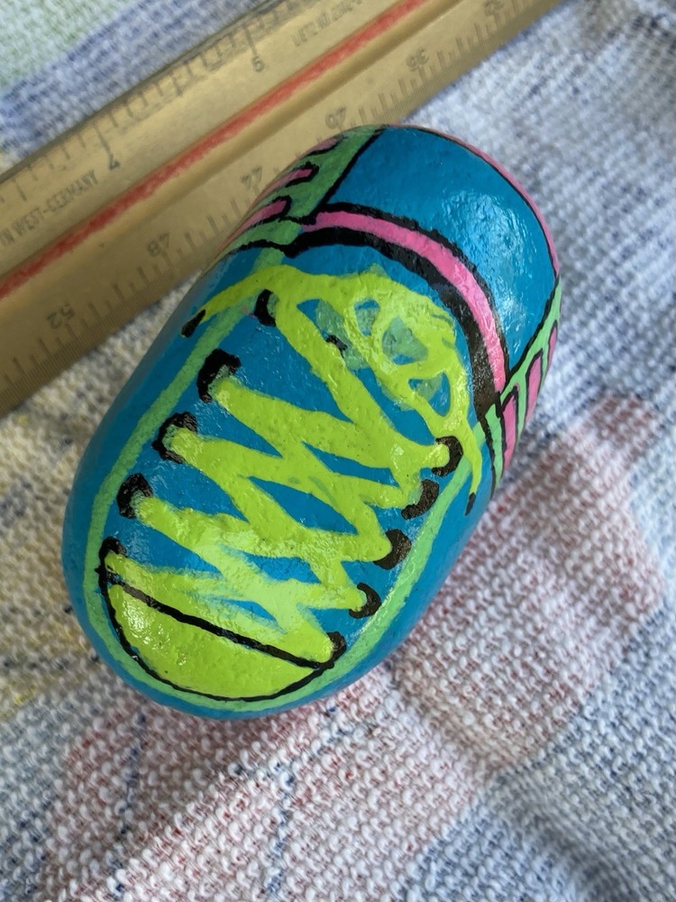 Hand Painted Rock/Stone
