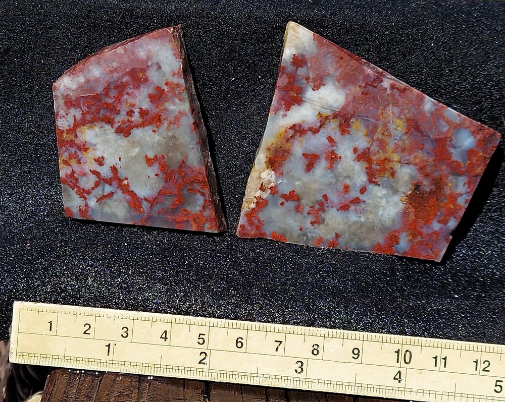 St. John's Flower  Agate Slabs-RARE