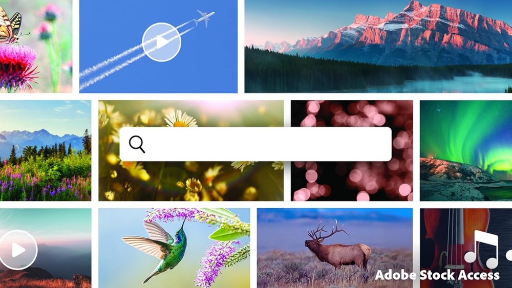 Adobe Photoshop Elements & Premiere Elements 2026