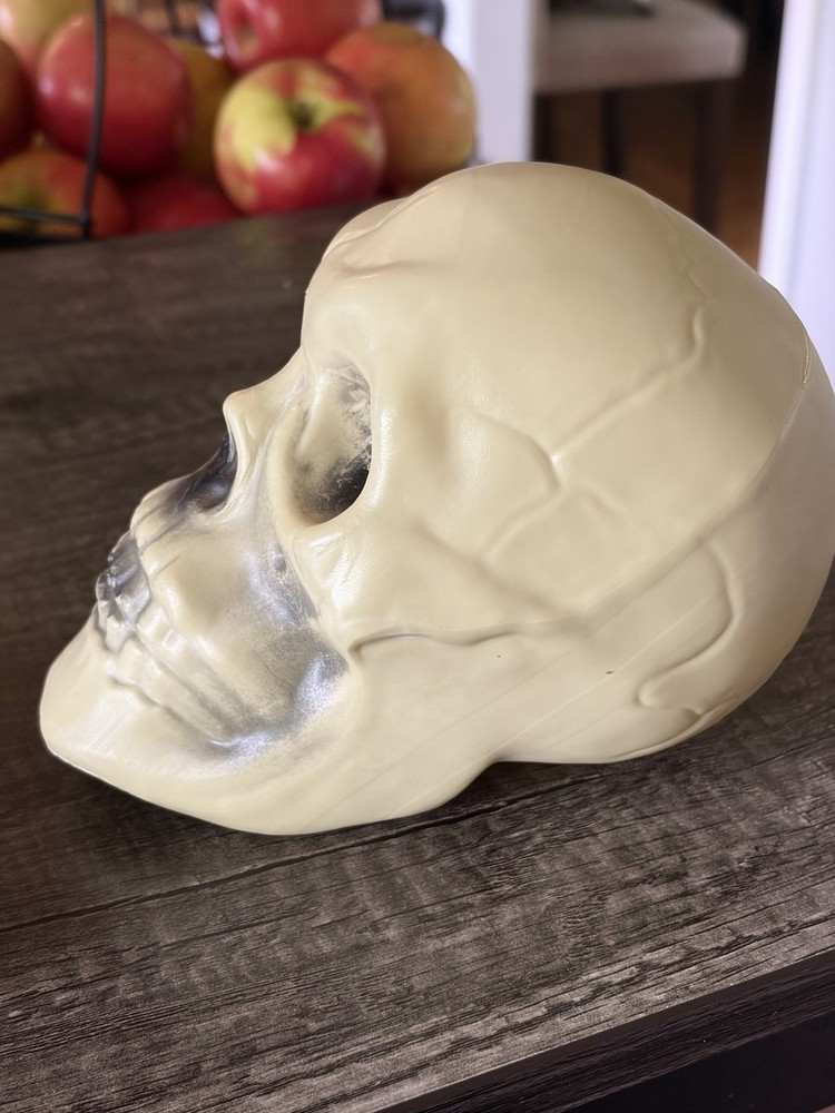 Plastic Skull Halloween Decoration Prop Hamlet Prop