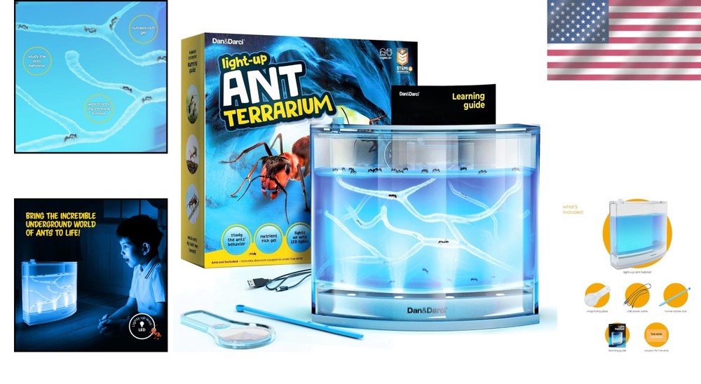 Interactive LED Ant Habitat for Children