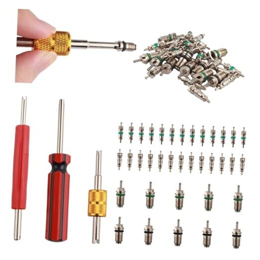 39PCS AC Valve Core Kit,AC Valve Kit Include Single & Double Head ACS Valves