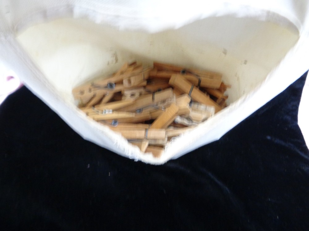 Vintage Clothes Pins & Clothes Pin Bag
