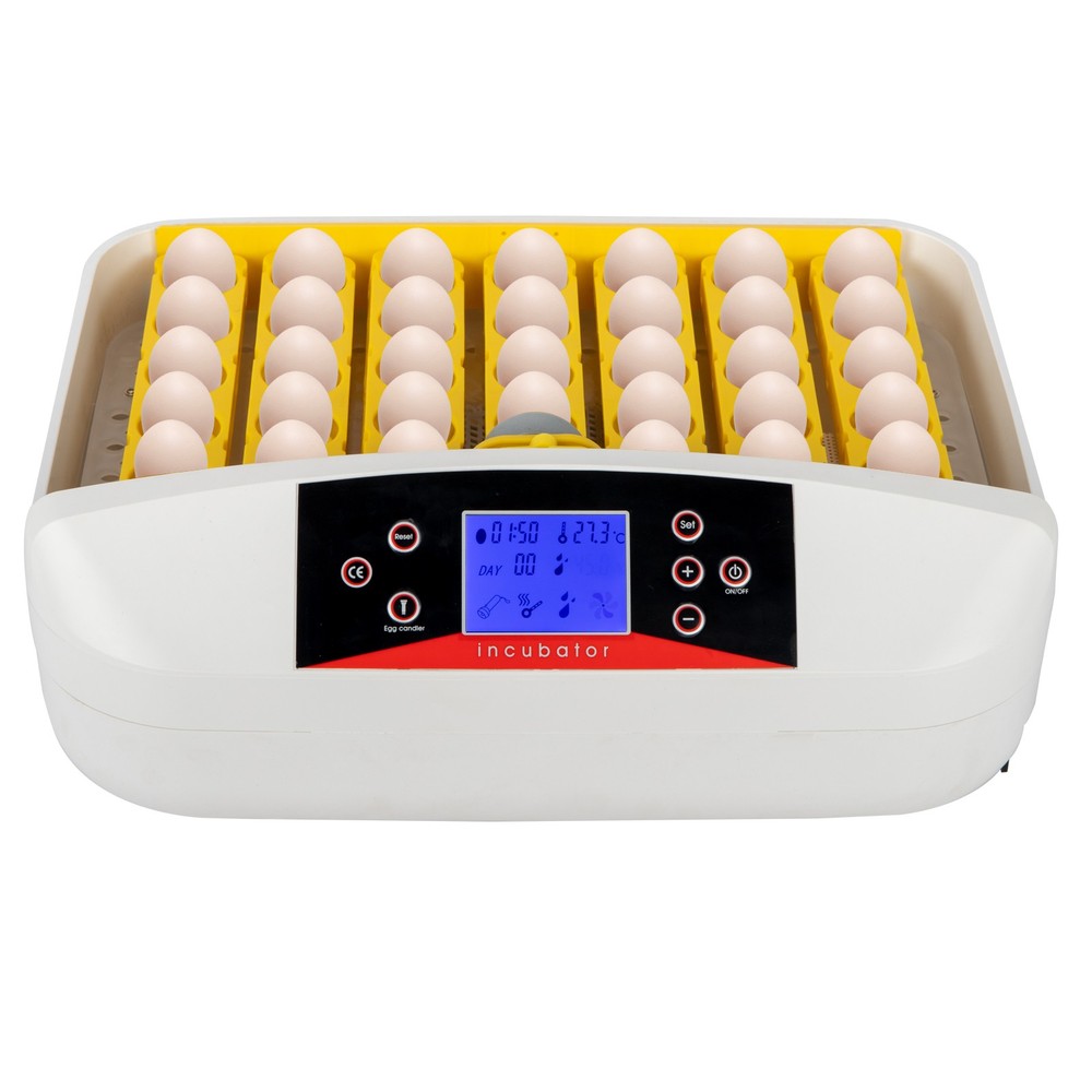 Smart Digital 42 Eggs Incubator Auto Turning Birds Hatcher Visual Window New