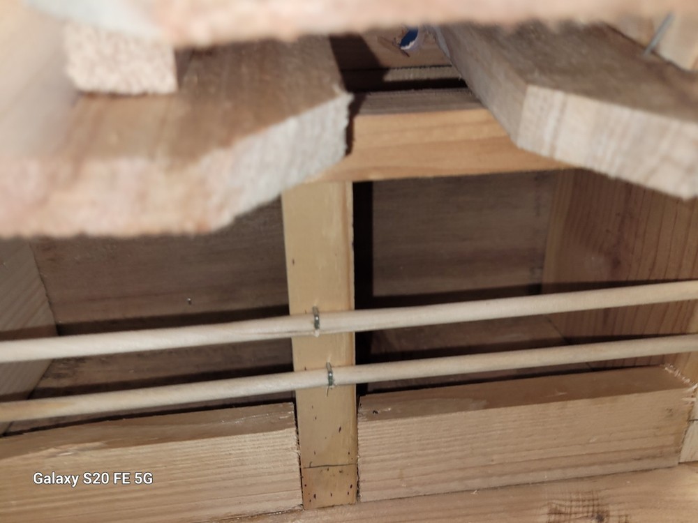Sparrow Nesting Box with 4 compartments