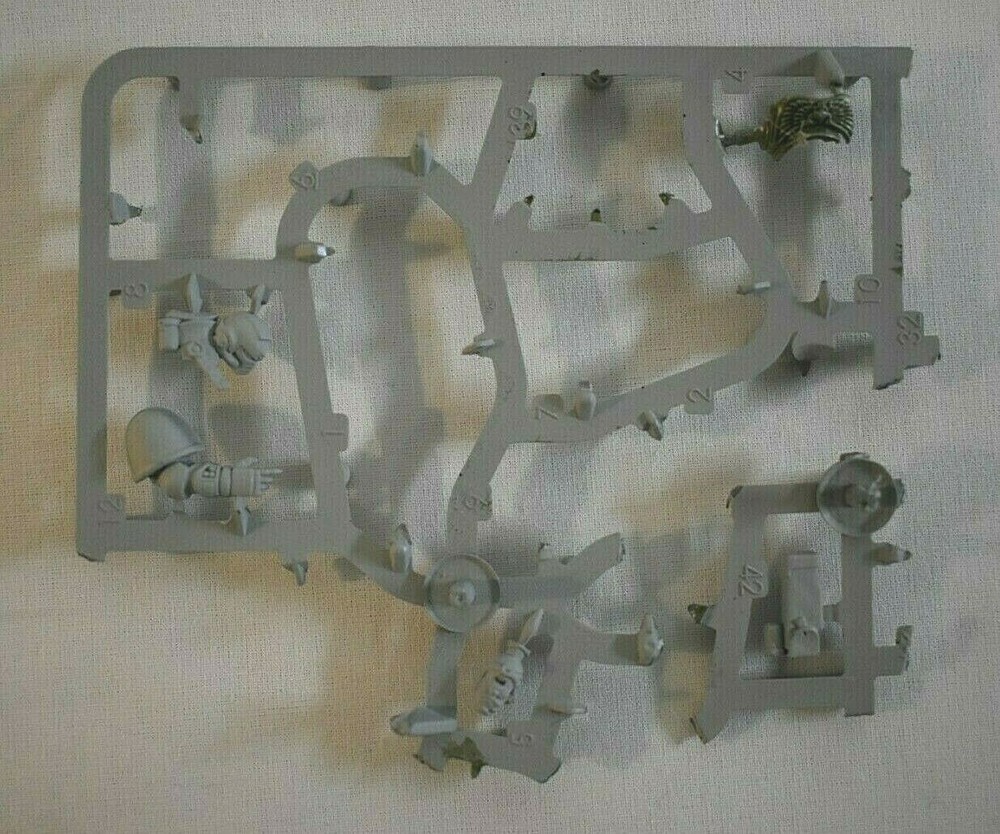 Warhammer 40K Primaris Intercessor Squad Bits On Sprue
