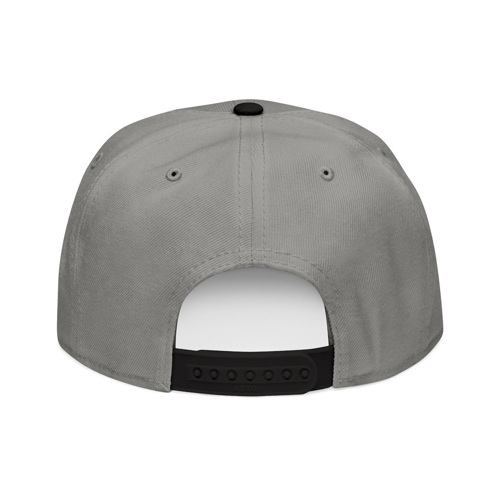 I Voted for This Snapback Hat