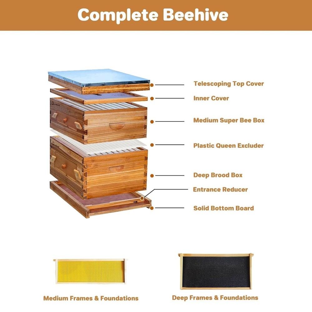 2 Layer Beekeeping Starter Hive 1 Deep 1 Medium 20 Frame Cedarwood Kit w/ Window