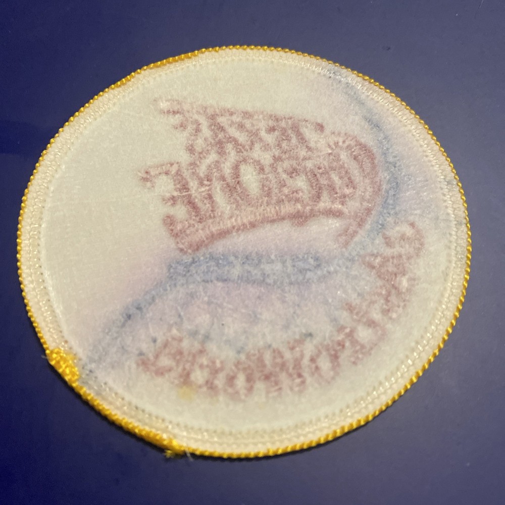 VTG TEXAS CYCLONE Astroworld Iron On Patch