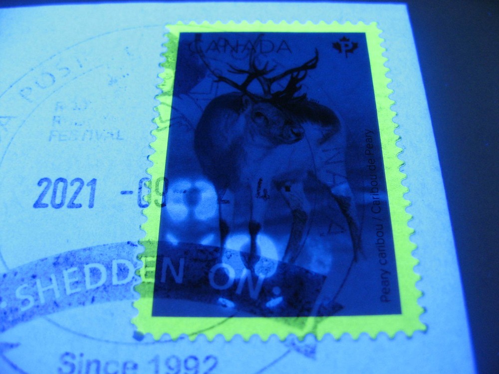Canada offset tag error mammals Sc 3278 used with nice cancel too!