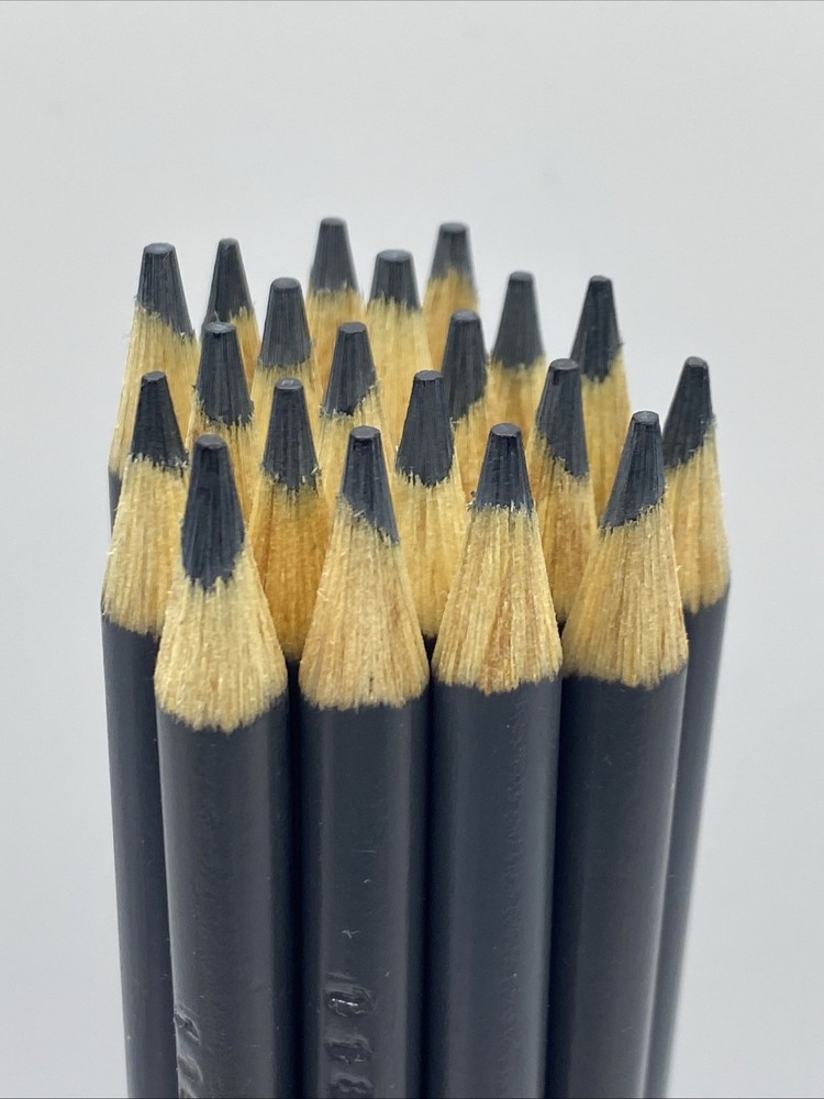 (20) Crayola Colored Pencils  (ash) BULK