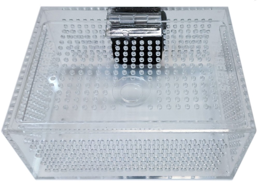 TL Reefs Mushroom Coral Acclimation Box
