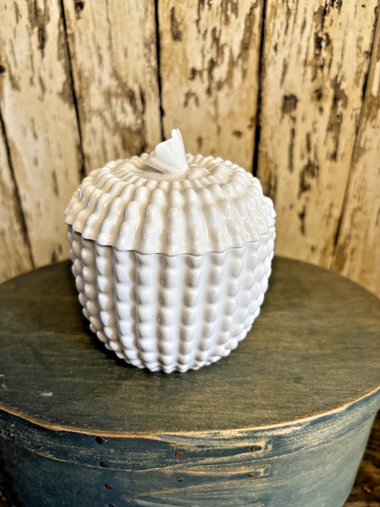 Vintage Spode English Bone China Cactus Shaped Jam Jar