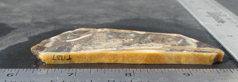 Feather Agate Lapidary Slab Indonesia T1237