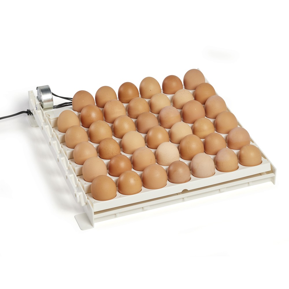 Farm Innovators 3200 Automatic 41 Spot Egg Turner for Improved Hatching (2 Pack)