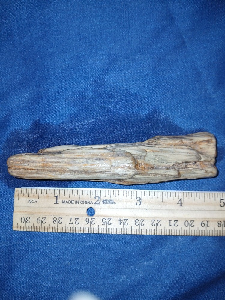 4.5 oz Petrified Wood