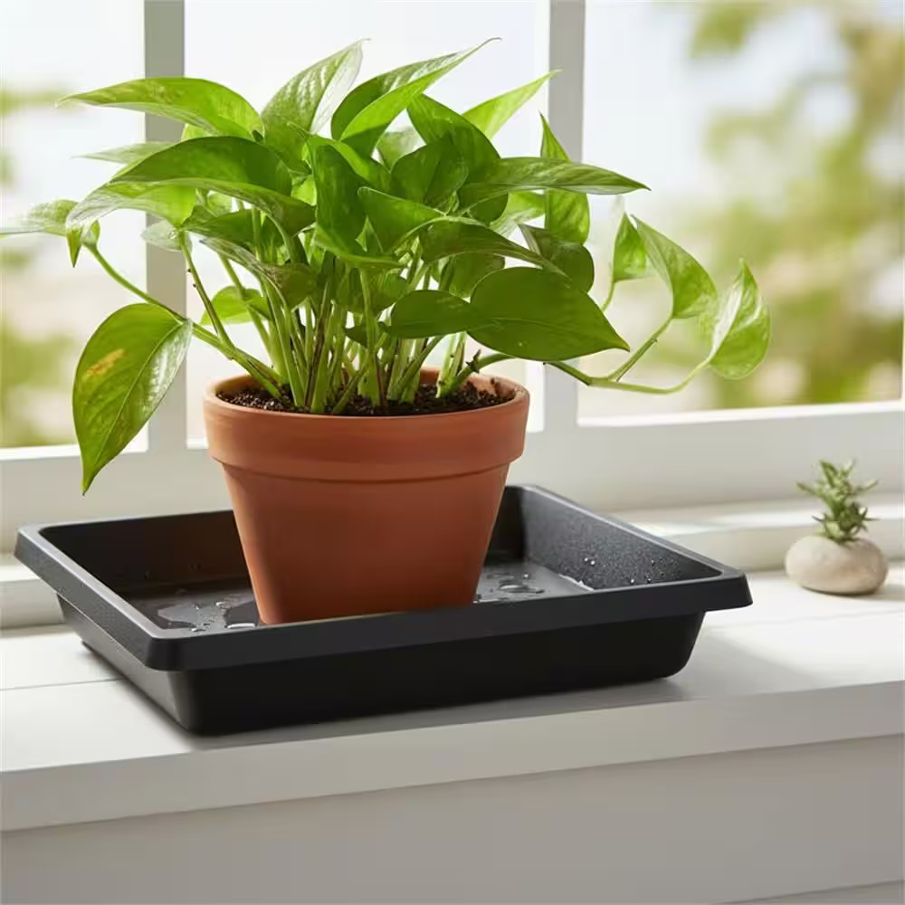 2 Pack Plastic Square Plant Saucer