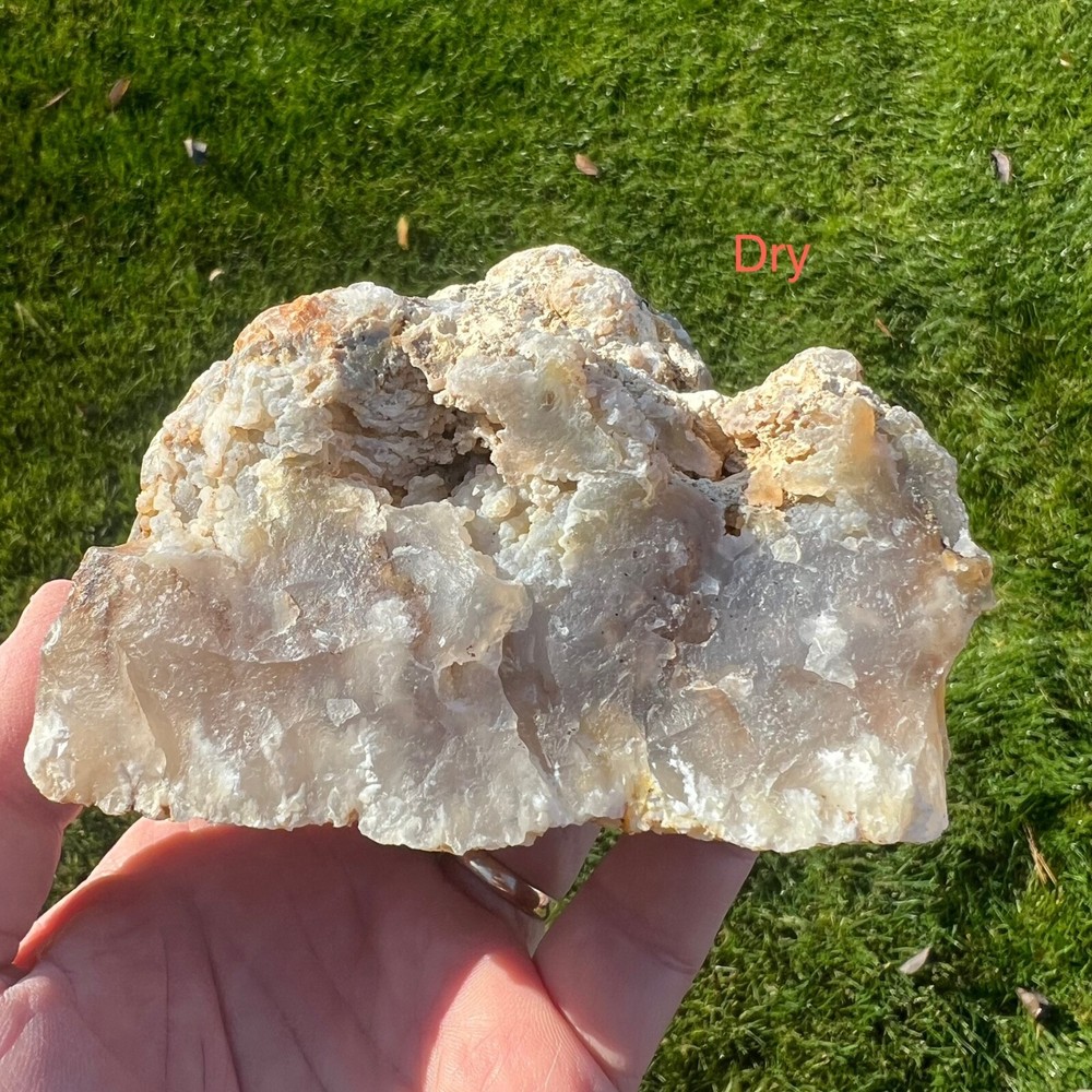Graveyard Point Plume Agate Rough 836gm (A22)