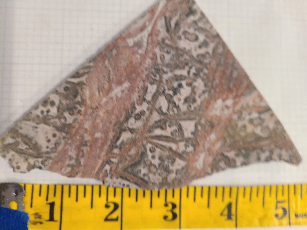 Leopard Skin Jasper Slab