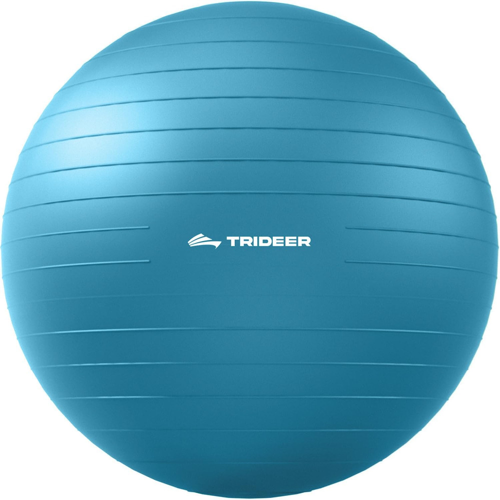Exercise Ball for Physical Therapy & Workout - Swiss Ball for Core Strength & Ba