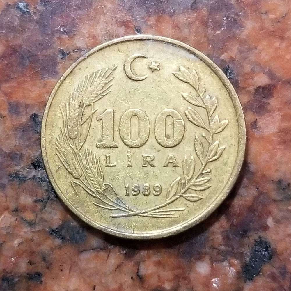 1989 TURKEY 100 LIRA COIN - #8529