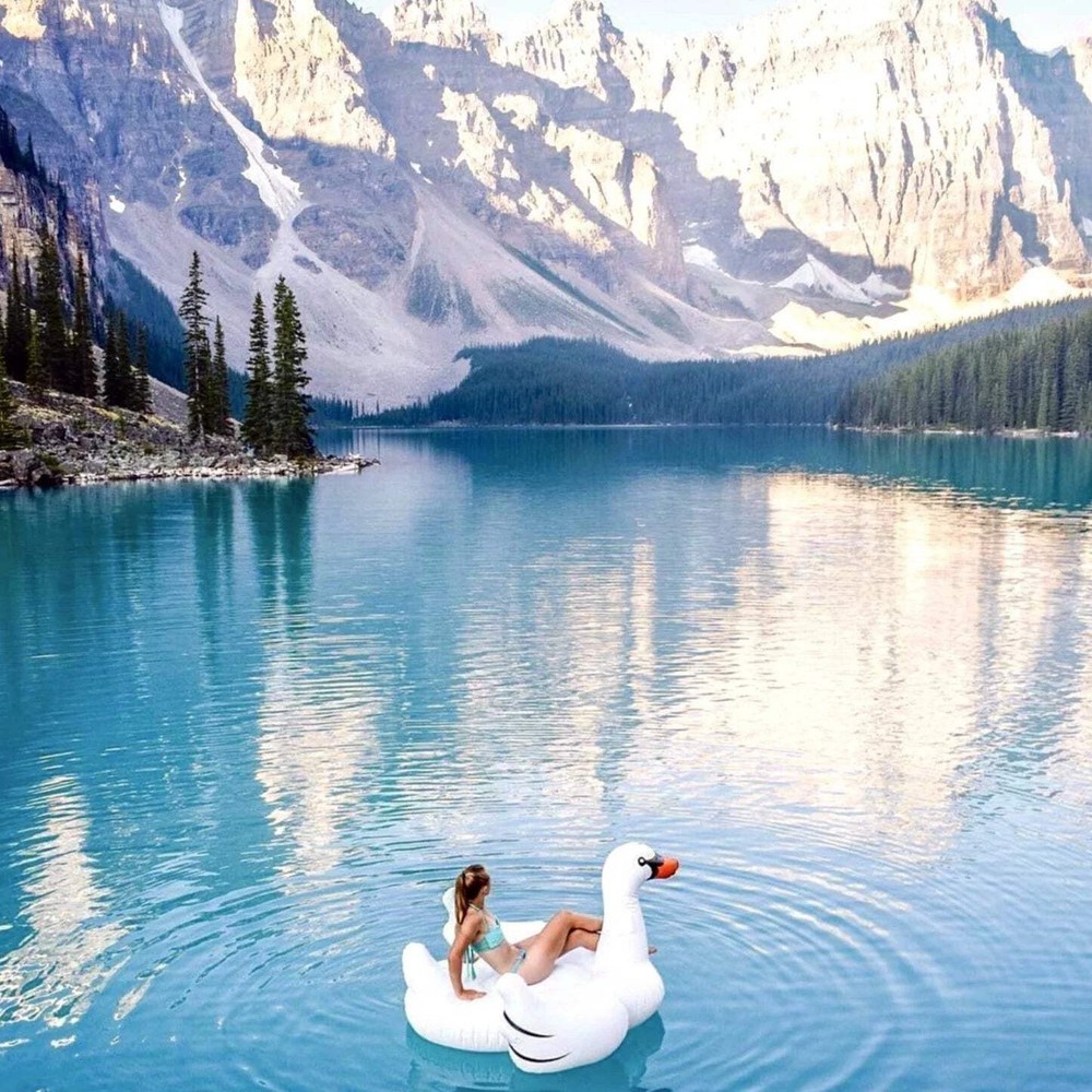 Giant Swan Pool Float