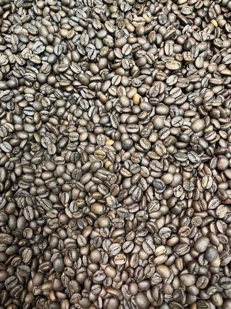 5 lb Fresh Roasted Holiday Blend Coffee Beans Medium, Whole Bean