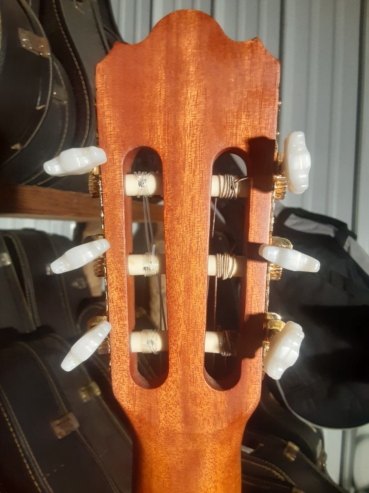 Hohner HC620 Classical Guitar Solid Top 2-Way Truss Rod