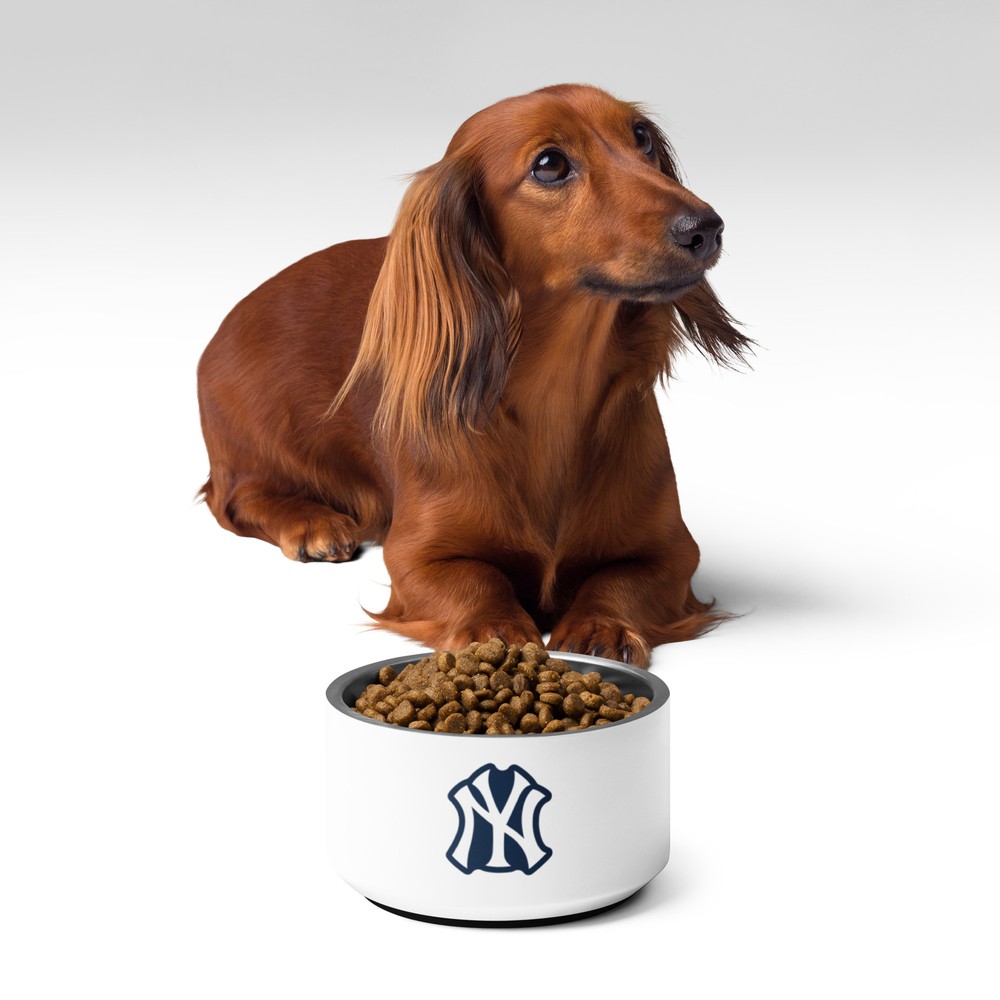 Yankee Pet bowl