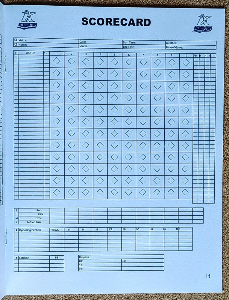 2017 Kannapolis Intimidators Program Yearbook/Scorecard & Team Photo ~ MiL