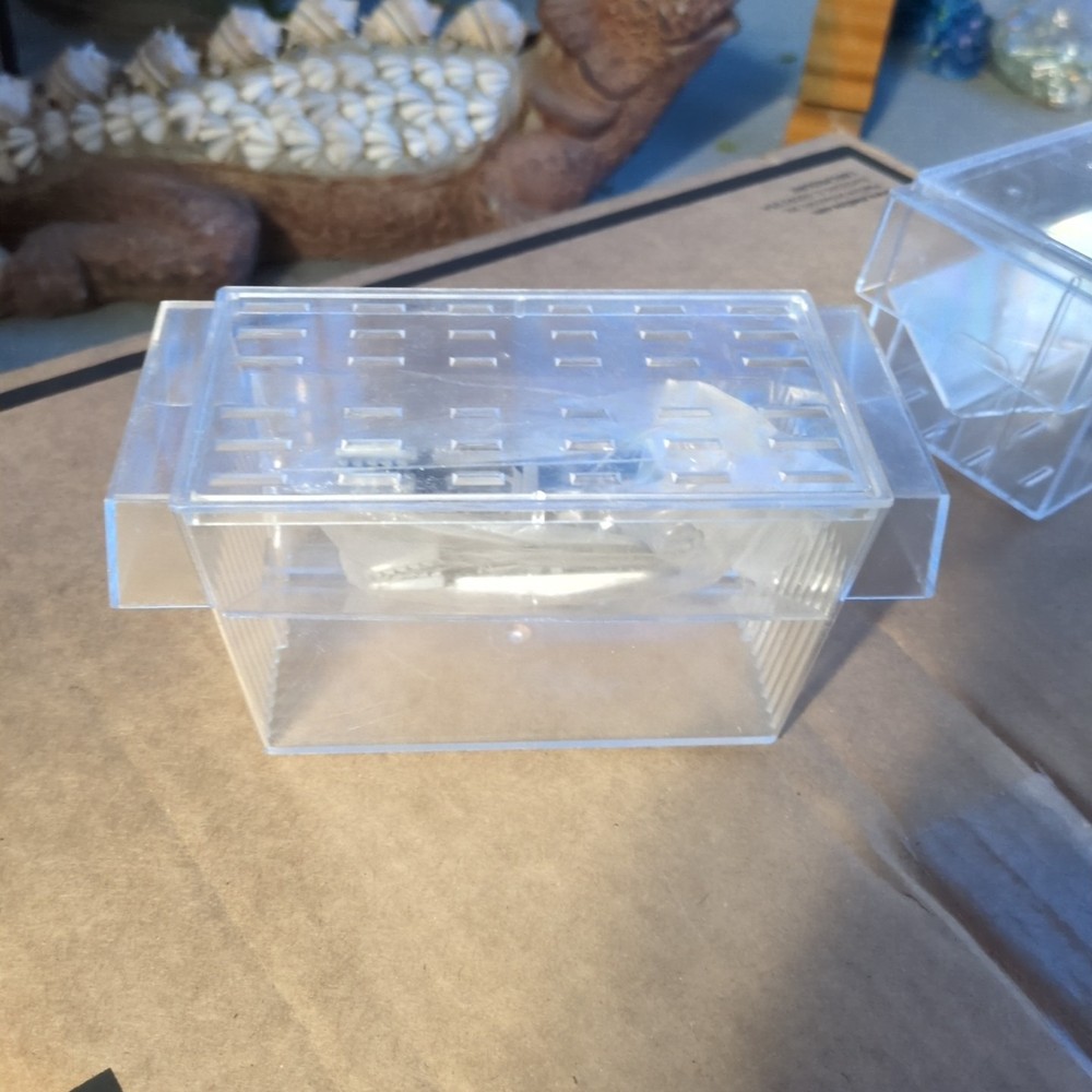 Fish Isolation Tank Breeding Tank Small Size