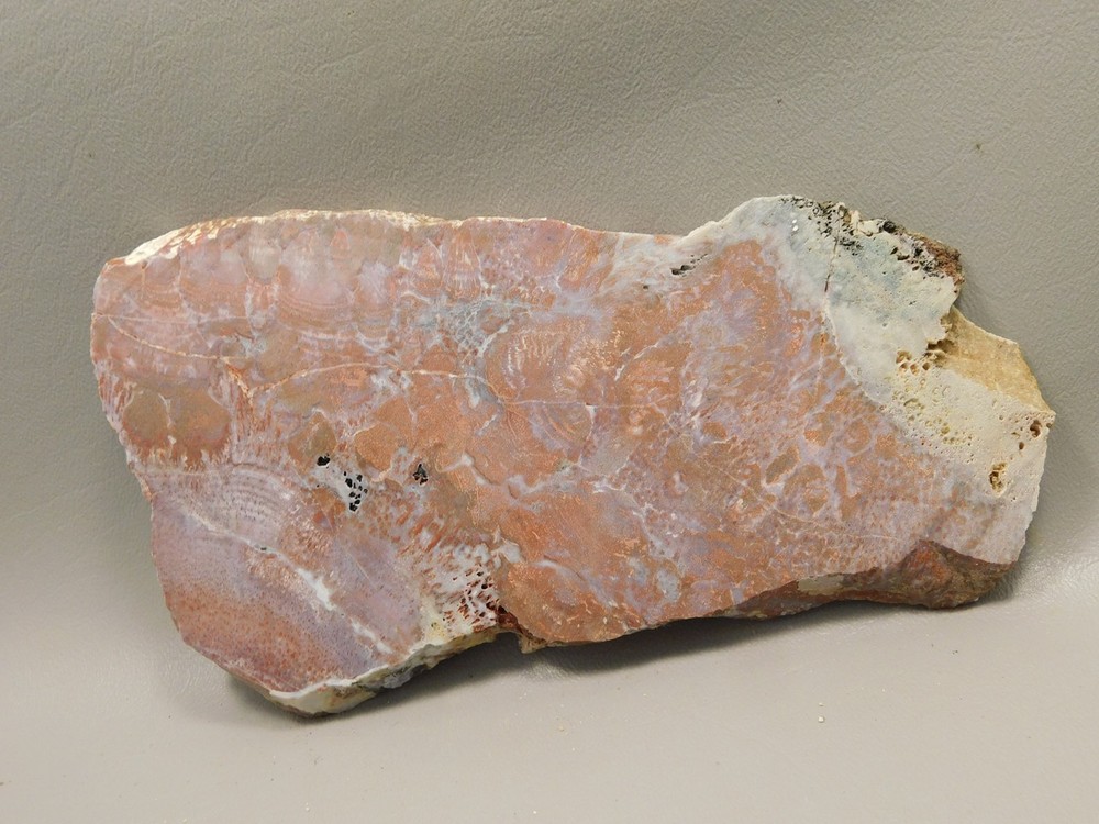 Red Agate Pseudomorph Stone Slab Lapidary Rough Rock #O1