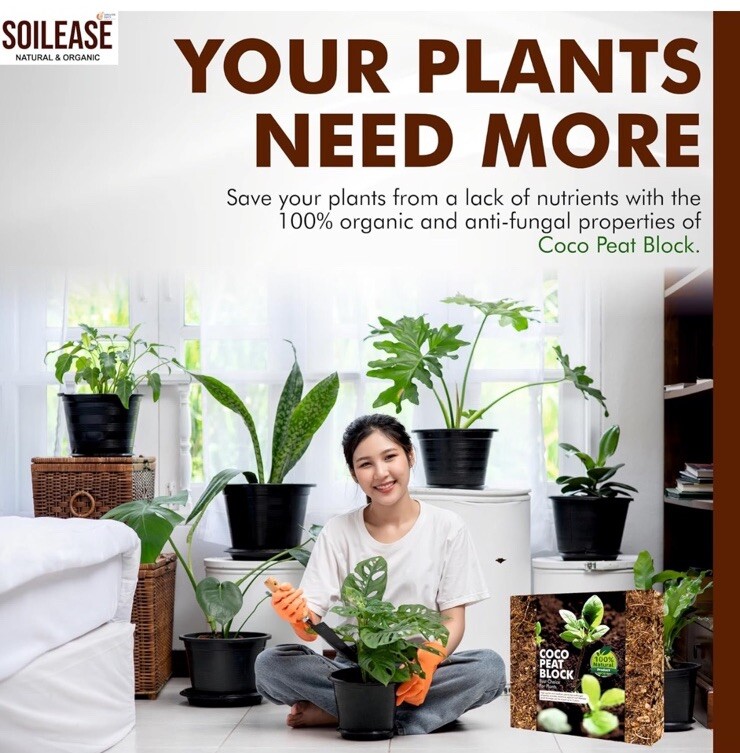 Coco Peat Block