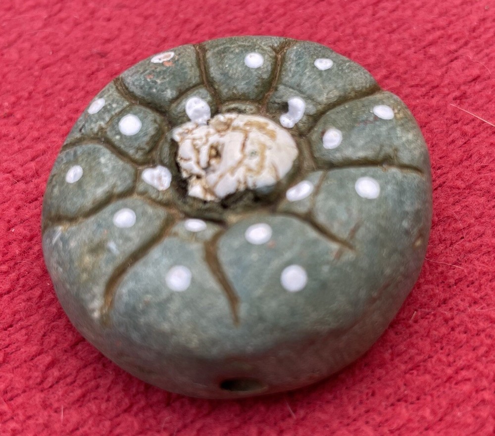 Unique Ceramic Peyote Bud Shamanic Journey Pendant