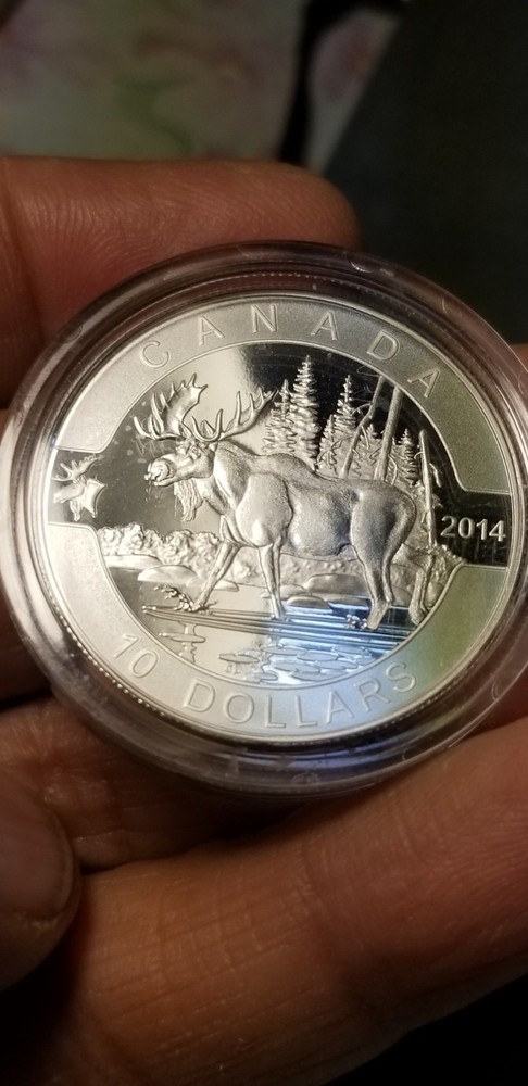 O Canada 2014 Proof Gem $10 Silver Coin Moose.