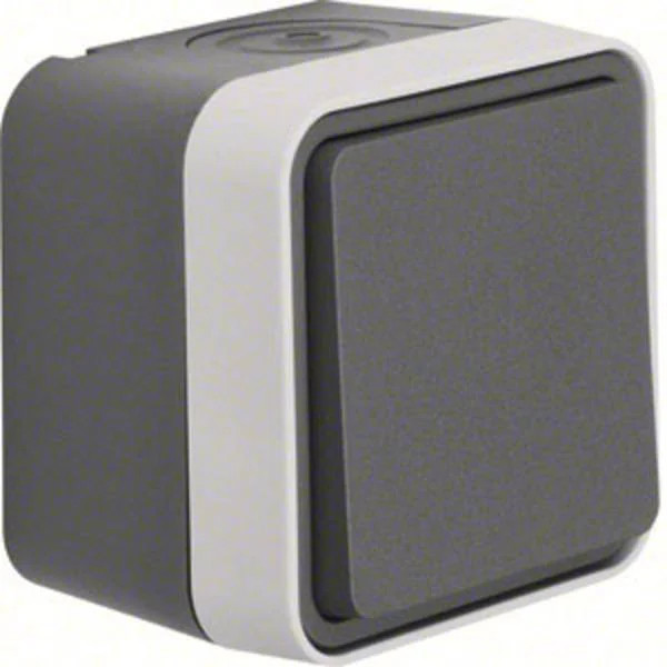 Berker 30763505 Surface Switch W.1 Grey, Luminescent Grey 1pc