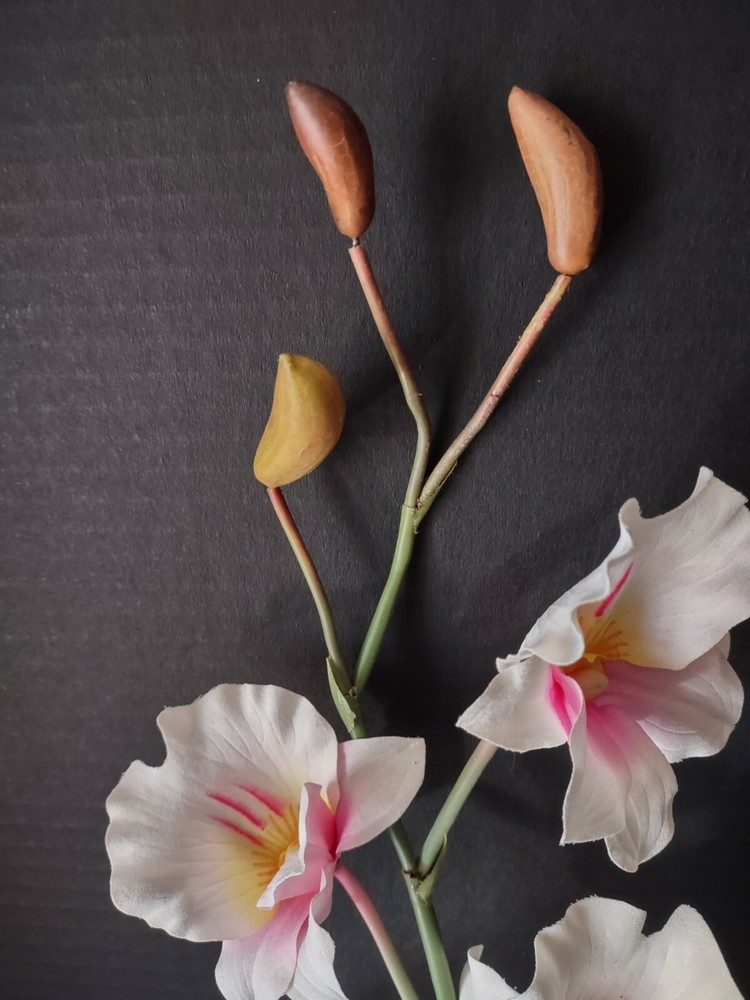 Artificial miltoniopsis orchid stem CREAM and PINK BLUSH