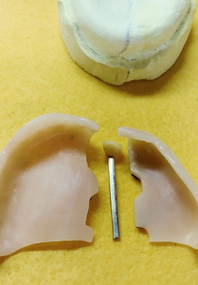 Devided Denture DENTAL DEMONSTRATION TEACHING MODEL Lab Dentist & Oral Surgeon