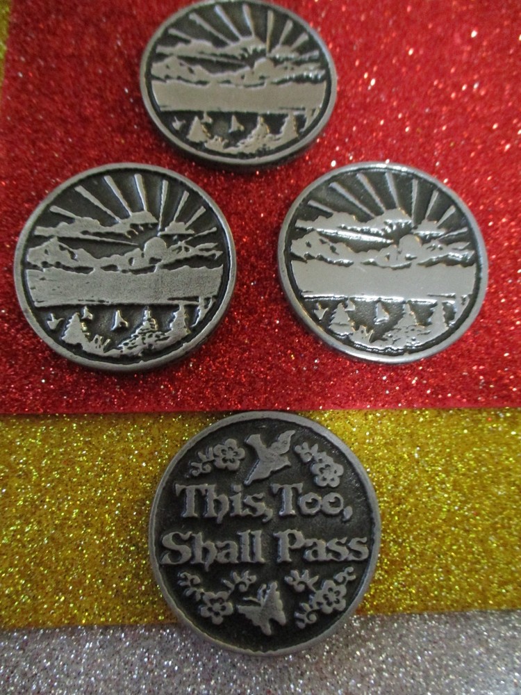 Brass Coin AA NA Chip Sobriety Inspirational All 12 step programs