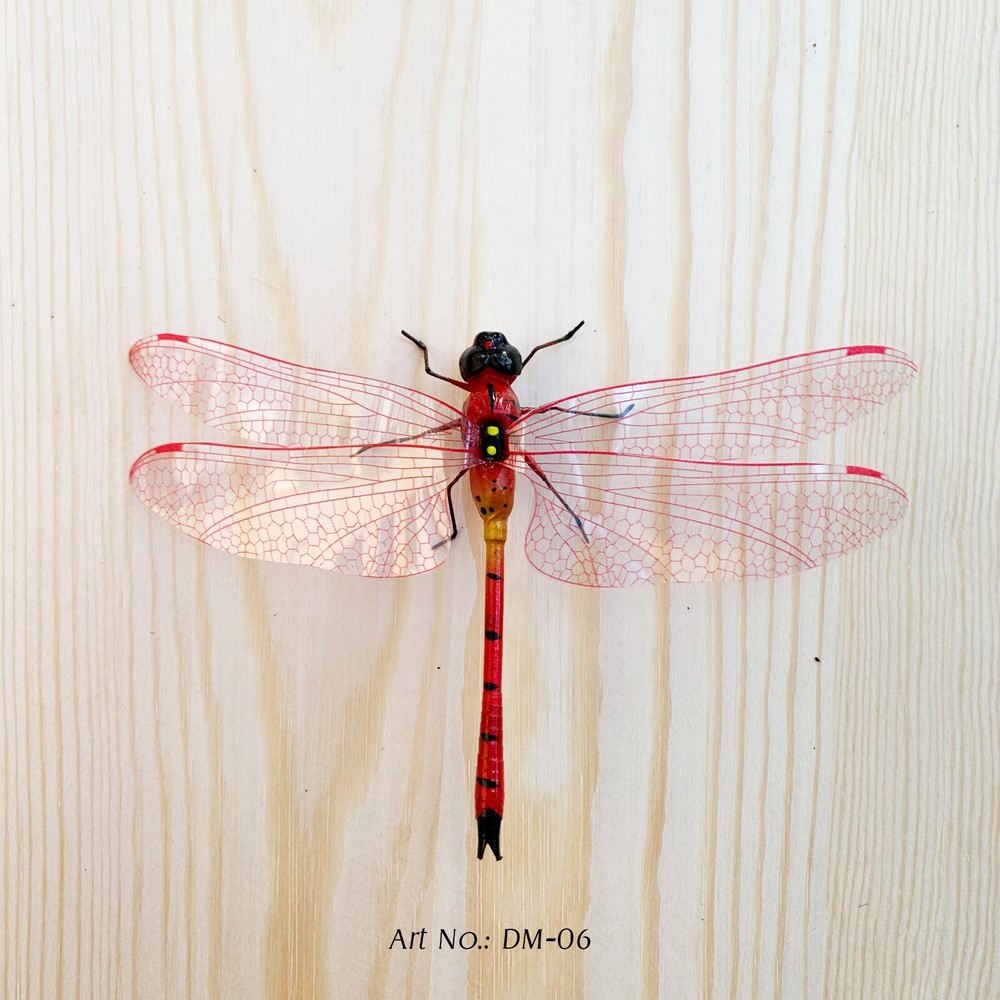 Dragonflies with Magnets