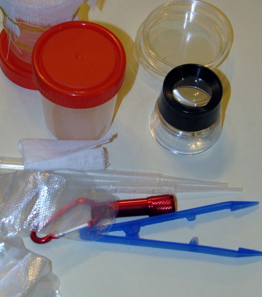 Young Scientist Observation Kit Magnifier Science Hobby Microscope Gift Nature