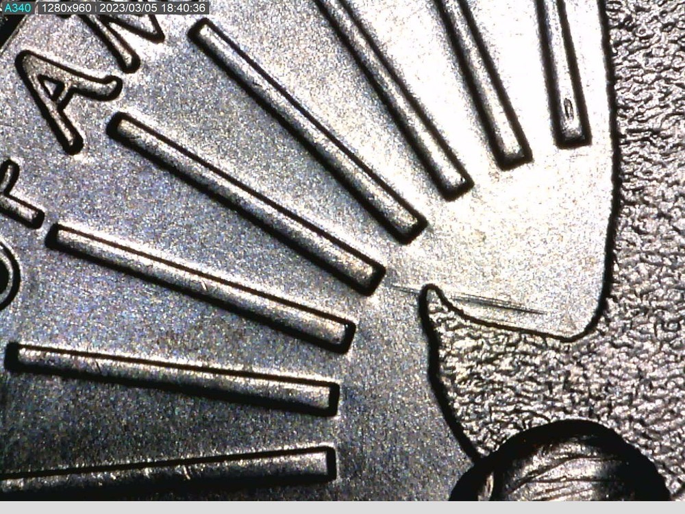 2022-P  Maya Angelou Quarter "Nesting Bird" Mint Error