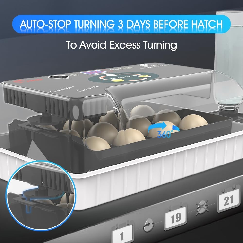 Automatic Egg Incubator for Hatching Eggs: Egg Incubator with Automatic Egg T...