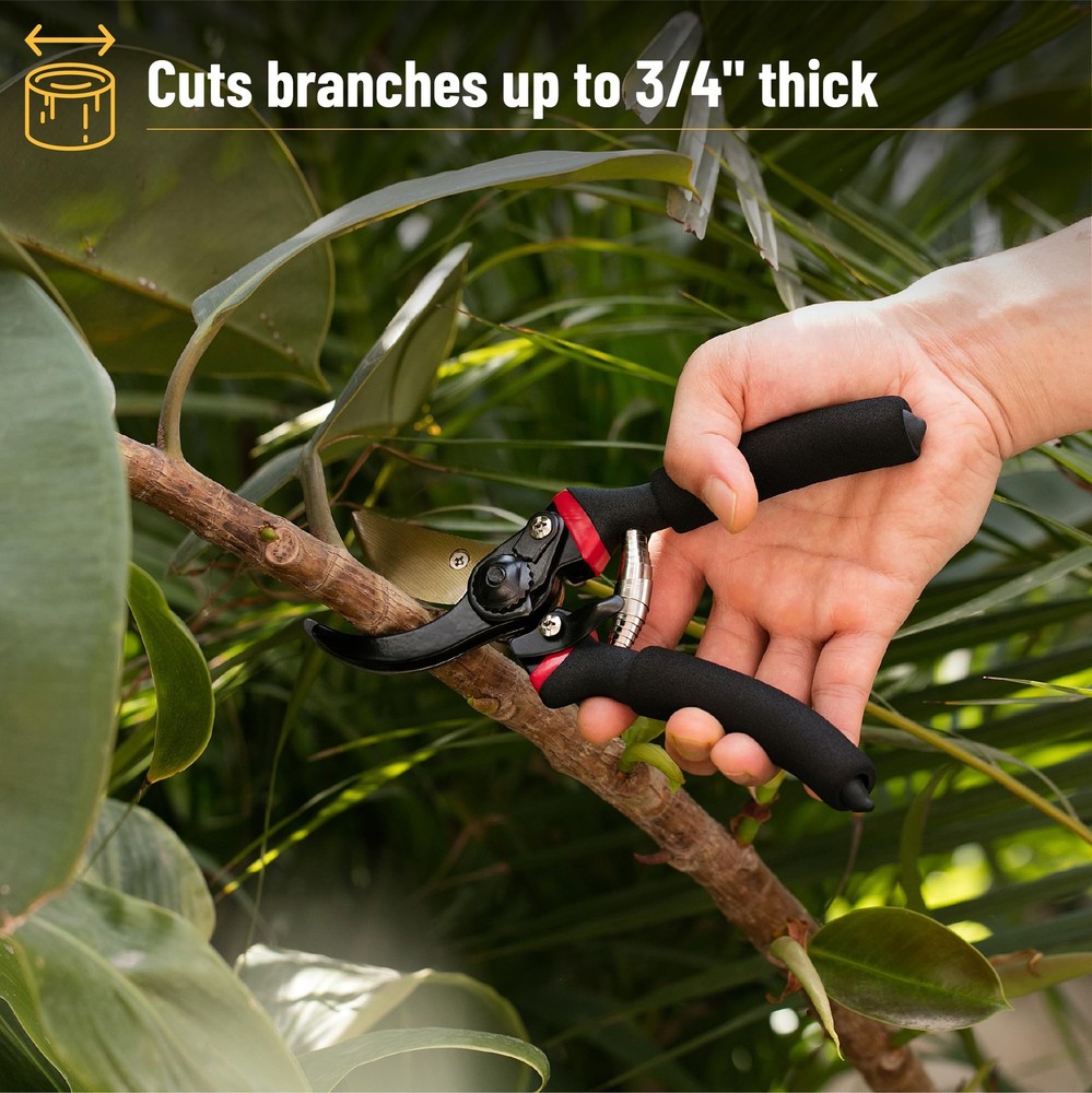 Pruning Shears, Garden 8" Professional, 8 inches, Black