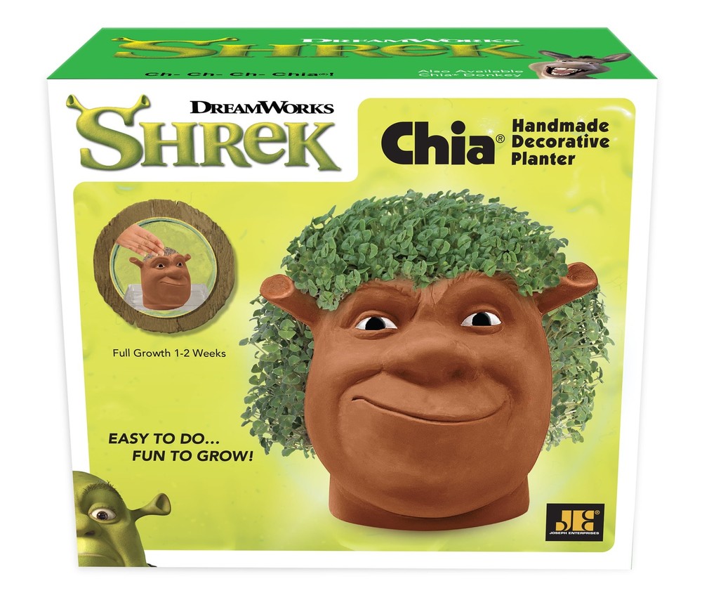 Shrek Handmade Decorative Planter by JEI