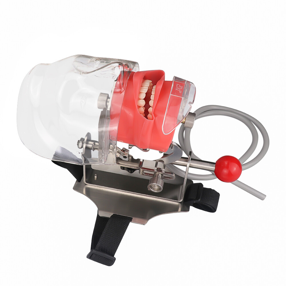 Dental Simulator Phantom Head Dentist Training Practice for Chair Unit Headrest