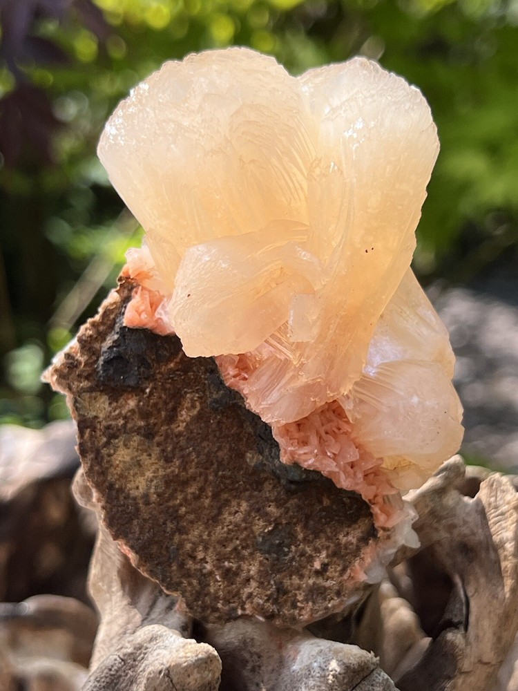 Orange Heulandite Cluster Bed Bright Colouring AAA+ With Stillbite 29