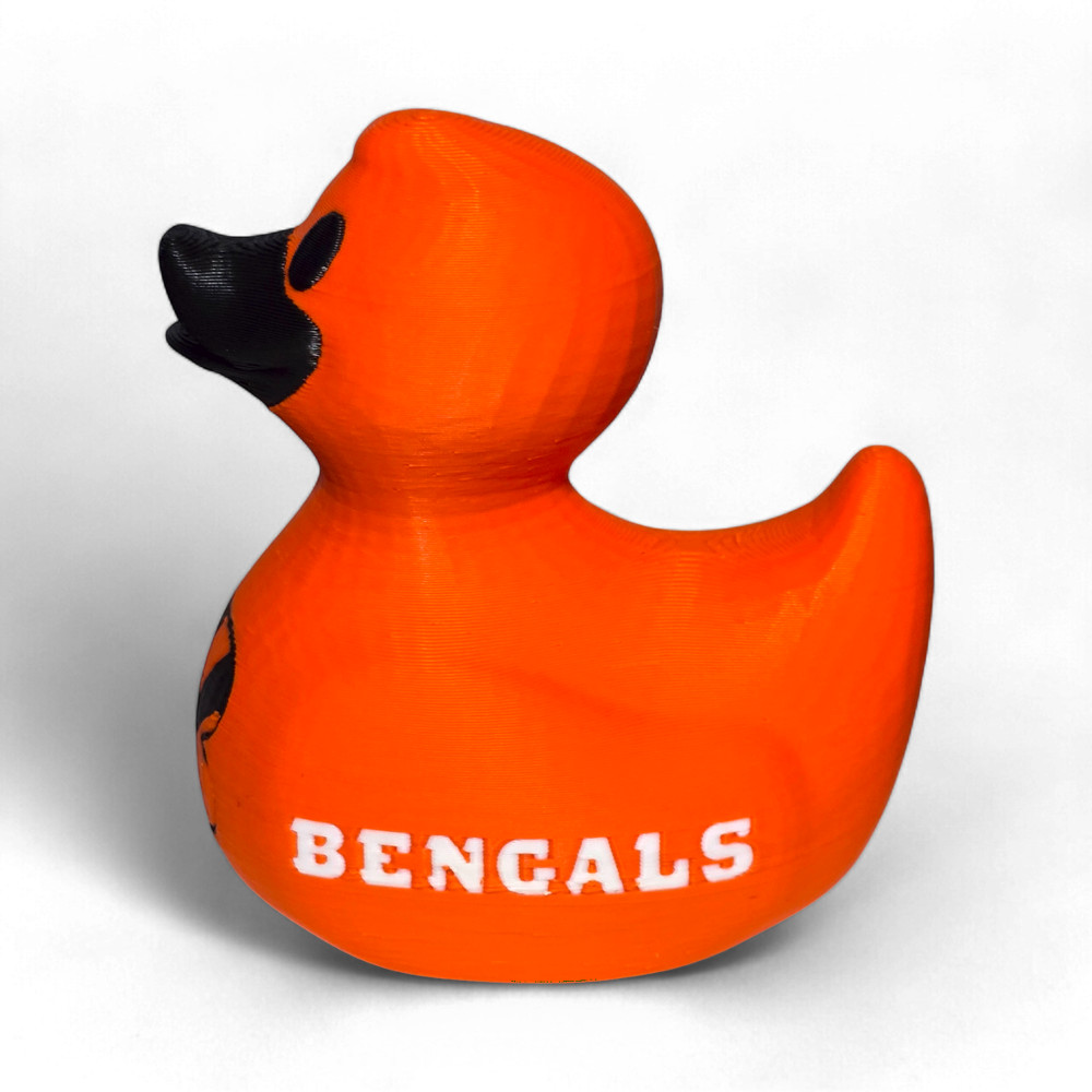 Cincinnati Bengals Duck
