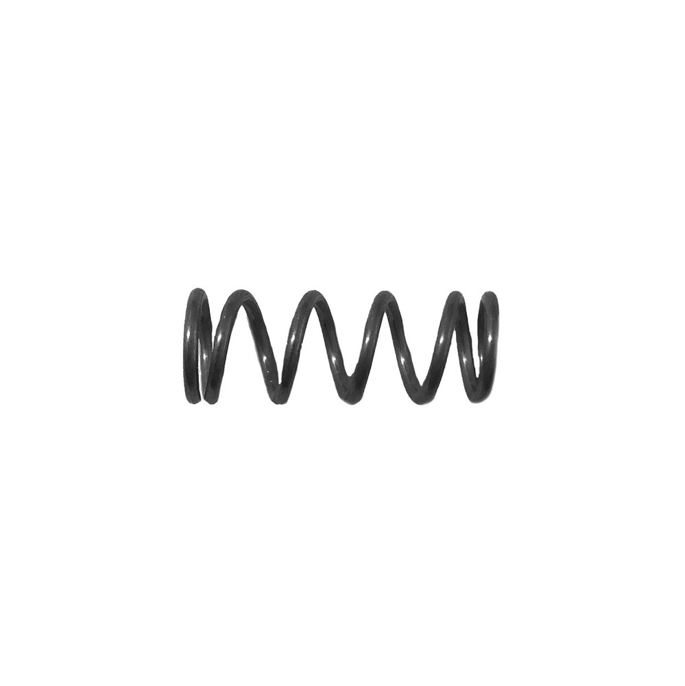 VS-156 Replacement Valve Spring for B&G Equipment Sprayers - 1 Valve Spring