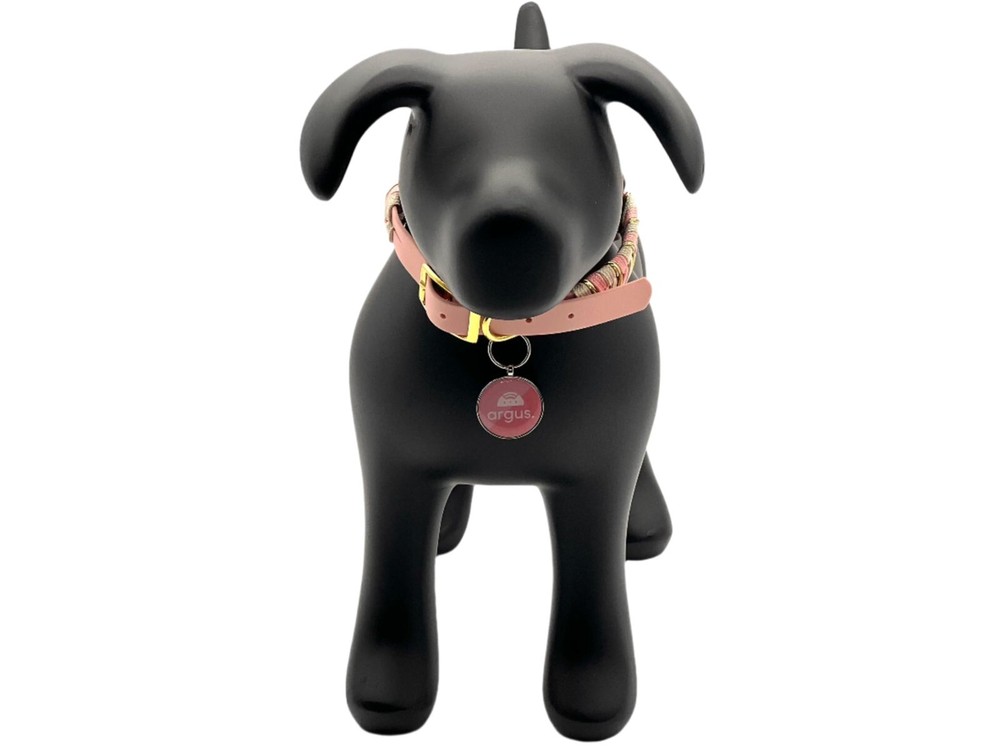 Argus Tech Tag - Epoxy Round Metal Edge Pet ID Tag with QR Code